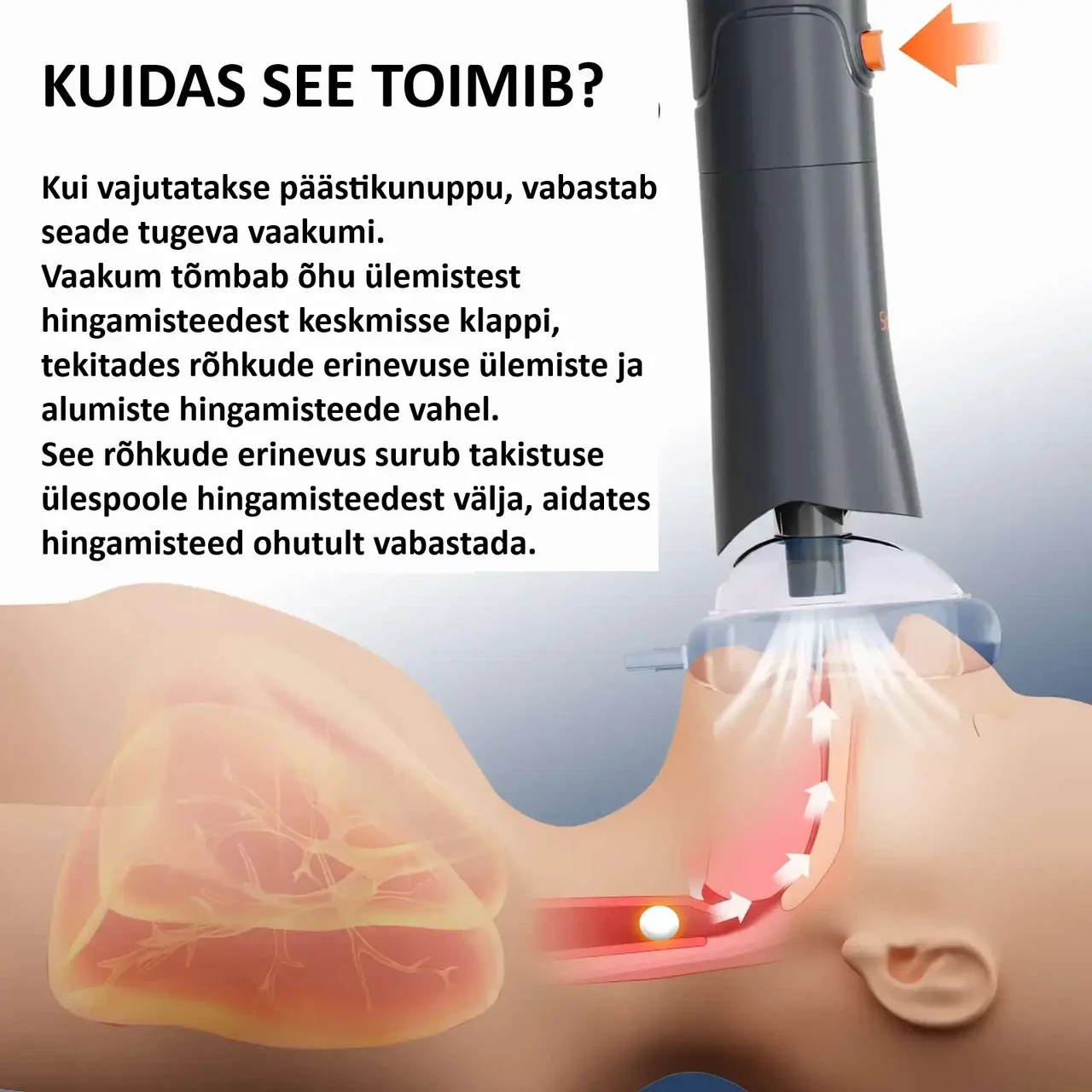 Komplekti sisu